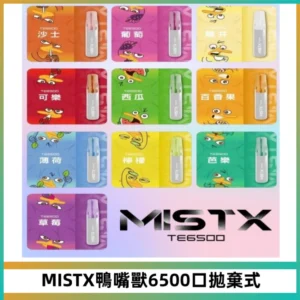 MISTX TE鴨嘴獸6500 Puffs抛棄式一次性抛棄式電子煙