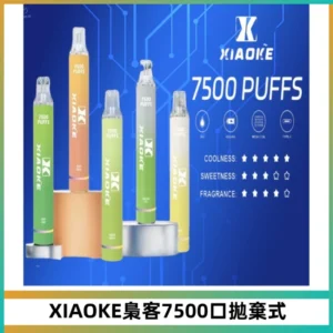 XIAOKE梟客7500Puffs跑馬燈拋棄式電子煙 可發光一次性